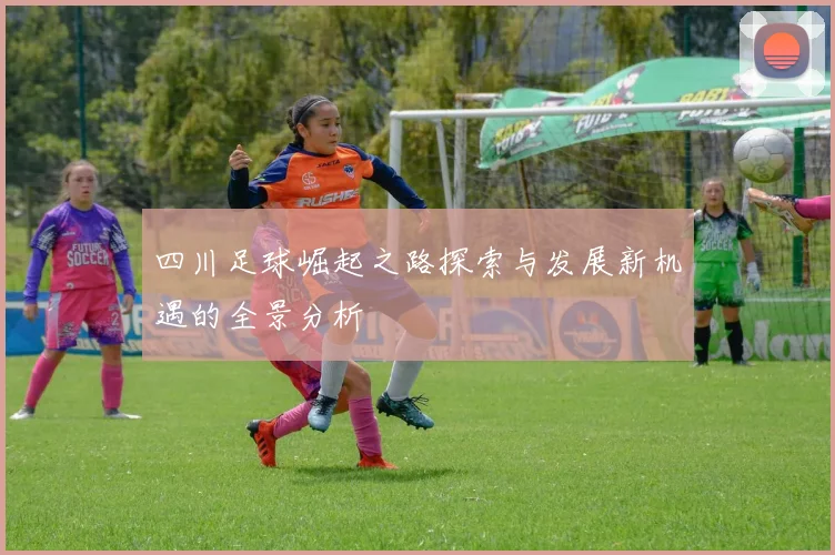 四川足球崛起之路探索与发展新机遇的全景分析