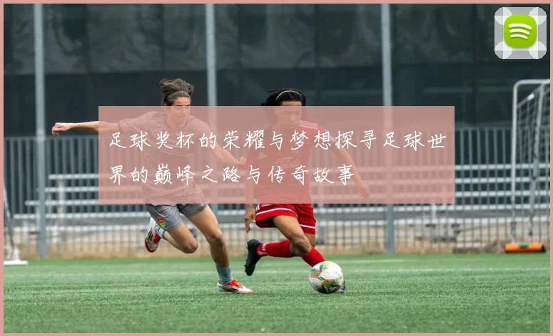 足球奖杯的荣耀与梦想探寻足球世界的巅峰之路与传奇故事