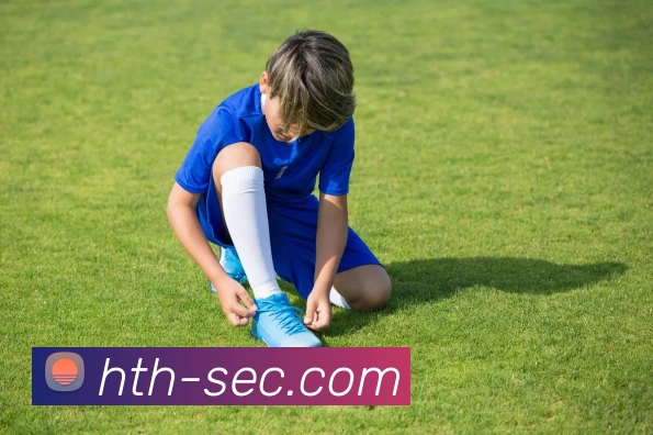 华体会官网平台生态图